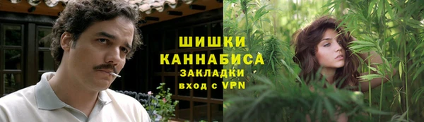 шишки Алексин