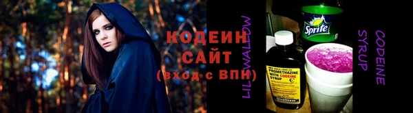 дмт Осташков