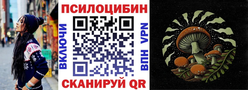 закладки  Калтан  Галлюциногенные грибы Magic Shrooms 